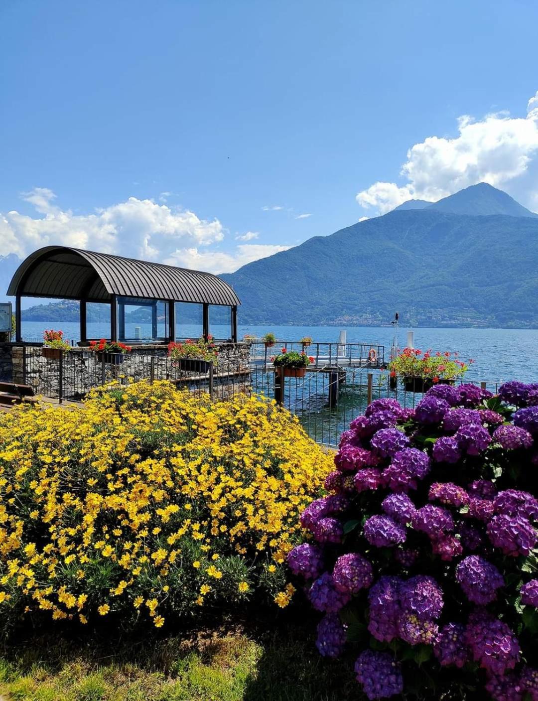 Balcony On Lake Pianello Pianello Del Lario Eksteriør billede