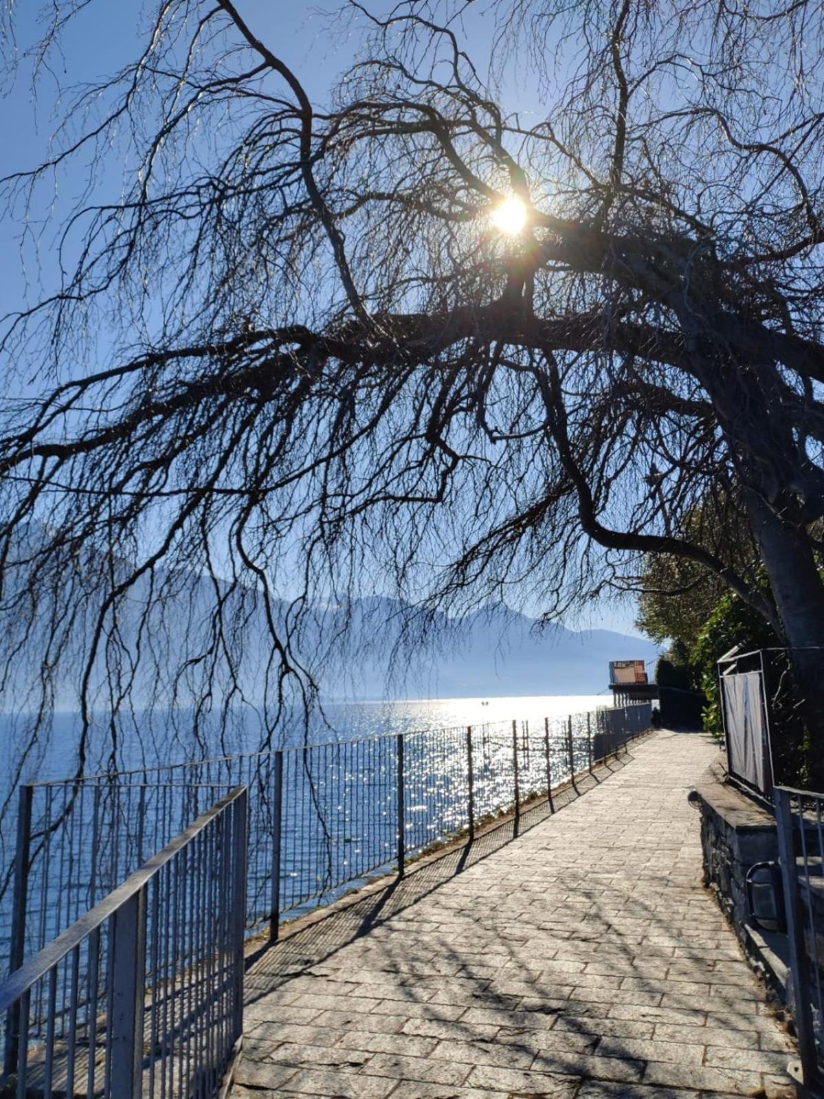 Balcony On Lake Pianello Pianello Del Lario Eksteriør billede